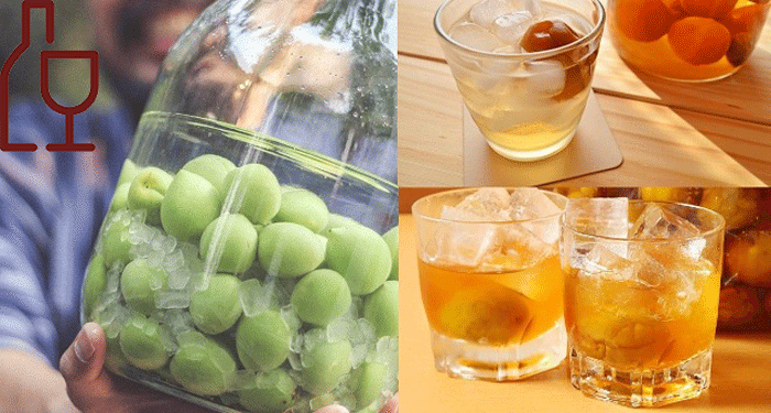 Rượu mơ Hàn Quốc có những loại nào?